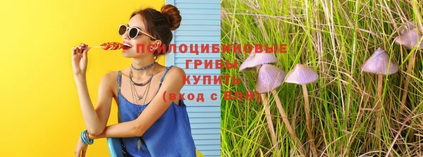 мет Богданович
